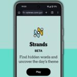 Kunci Kunci dan Jawaban NYT: Persiapkan Otakmu untuk Rabu, 29 April (Permainan #787)