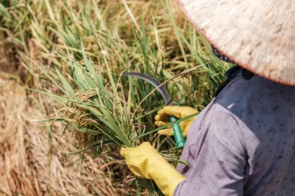 Perang di Timur Tengah: Mengguncang Raksasa Makanan Asal Asia!