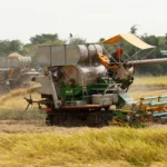 Krisis Energi Akibat Perang Iran Mengancam Pasokan Pangan Utama di Asia