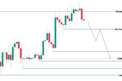 Bitcoin Harus Pertahankan Level Ini Jika Tak Mau Harganya Terjun ke $65.000 Lagi!