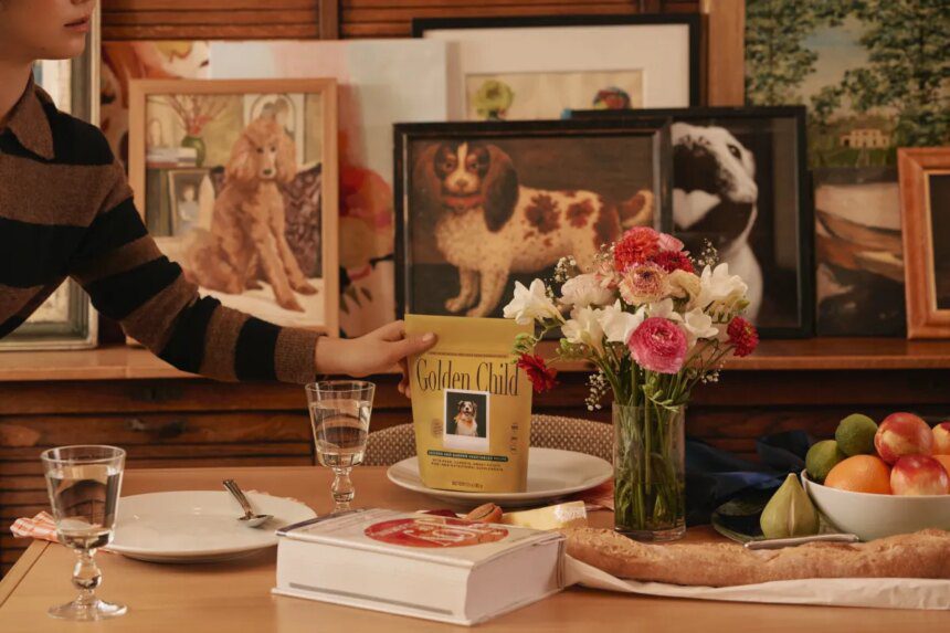 Drizzle: Merek Makanan Anjing Premium Baru Siap Taklukkan Pasar 1% Elite!