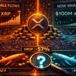 Arus XRP Whale Capai Level Tertinggi Sejak 2021: Apakah Sejarah Terulang?
