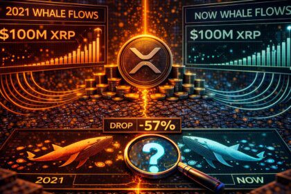 Arus XRP Whale Capai Level Tertinggi Sejak 2021: Apakah Sejarah Terulang?