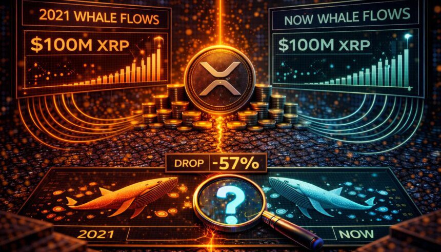 Arus XRP Whale Capai Level Tertinggi Sejak 2021: Apakah Sejarah Terulang?