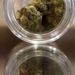 Perubahan Klasifikasi Kanabis Picu Euforia dan Kebingungan saat Saham Mariyuana Tertekan