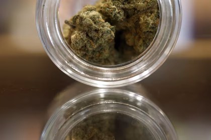 Perubahan Klasifikasi Kanabis Picu Euforia dan Kebingungan saat Saham Mariyuana Tertekan