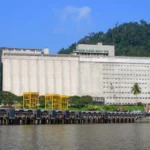 Malayan Flour Mills Perluas Operasi di Vietnam, Siap Penuhi Kebutuhan Pasar!