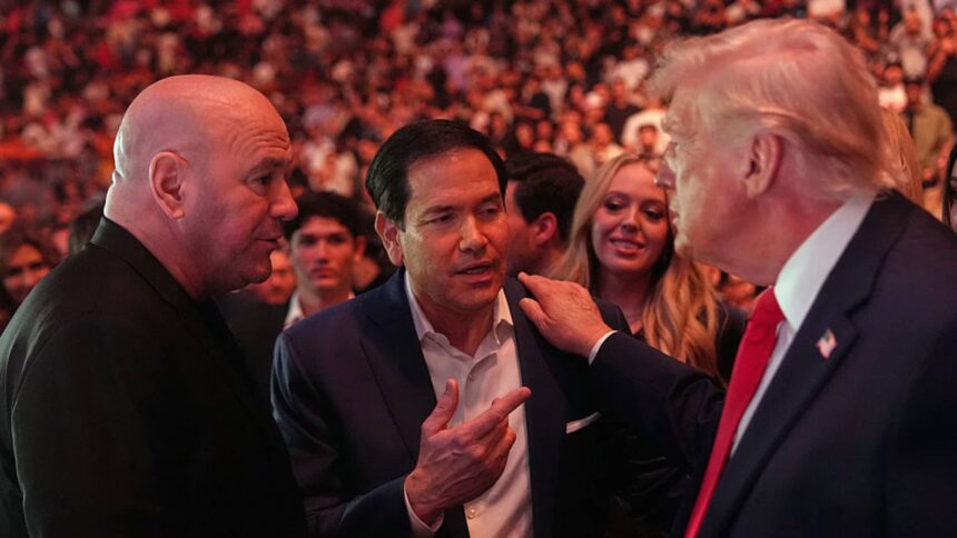 Dana White dari UFC Desak Trump Cabut Pajak Perjudian demi Industri yang Lebih Sehat