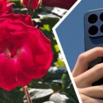 Xiaomi 17T Pro: Ratu Telephoto dengan Zoom 5x, Benarkah Janjinya? Saya Mengambil Lebih dari 500 Foto untuk Mengetahuinya!