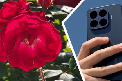 Xiaomi 17T Pro: Ratu Telephoto dengan Zoom 5x, Benarkah Janjinya? Saya Mengambil Lebih dari 500 Foto untuk Mengetahuinya!