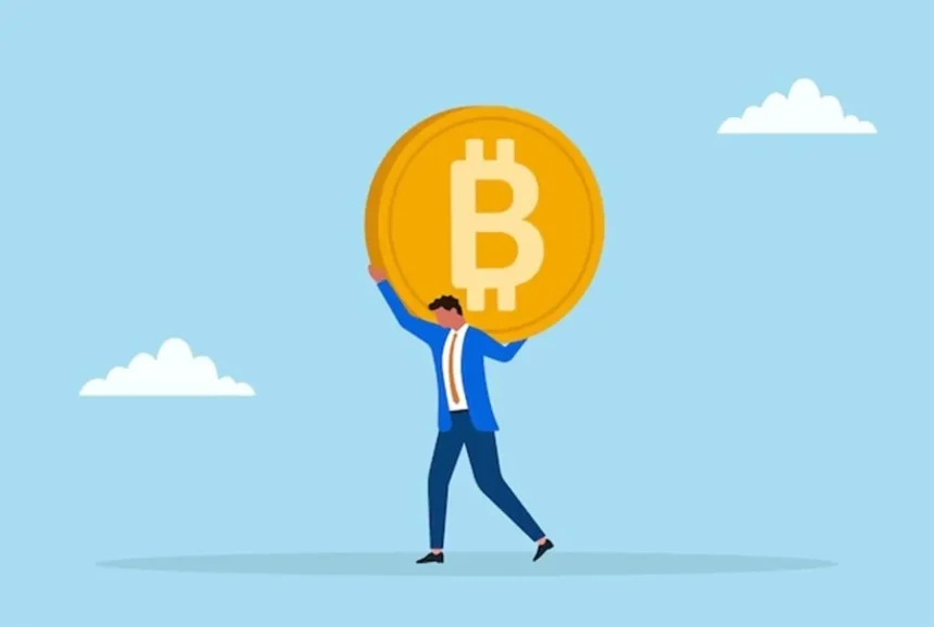 Jumlah Pemegang Bitcoin Jangka Panjang Capai 15,8 Juta Meski Harga Terus Turun