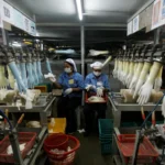 Laba Triwulanan Top Glove Melonjak 138% Berkat Efisiensi Biaya