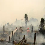Kabut Asap Mengancam: Petani Asia Tenggara Tertekan, Fenomena 'Godzilla' El Nino Sebagai Permulaan!