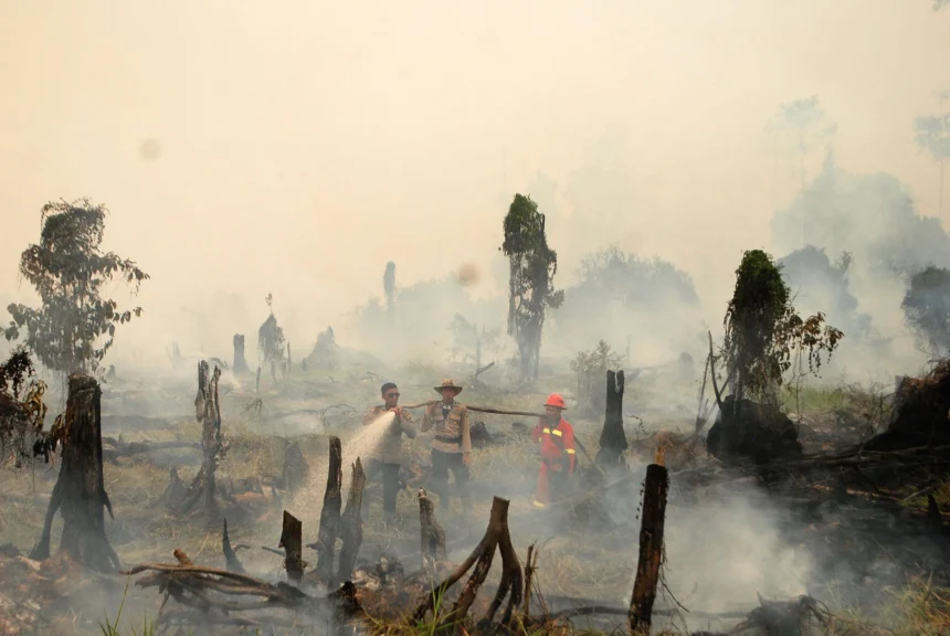Kabut Asap Mengancam: Petani Asia Tenggara Tertekan, Fenomena 'Godzilla' El Nino Sebagai Permulaan!