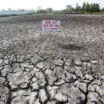 Cuaca Panas Ancam Hasil Pertanian Asia, El Nino Memicu Kekhawatiran Pasokan Pangan