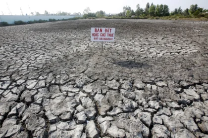 Cuaca Panas Ancam Hasil Pertanian Asia, El Nino Memicu Kekhawatiran Pasokan Pangan