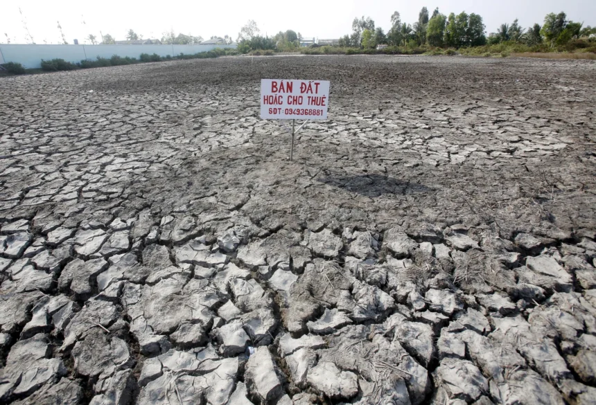 Cuaca Panas Ancam Hasil Pertanian Asia, El Nino Memicu Kekhawatiran Pasokan Pangan