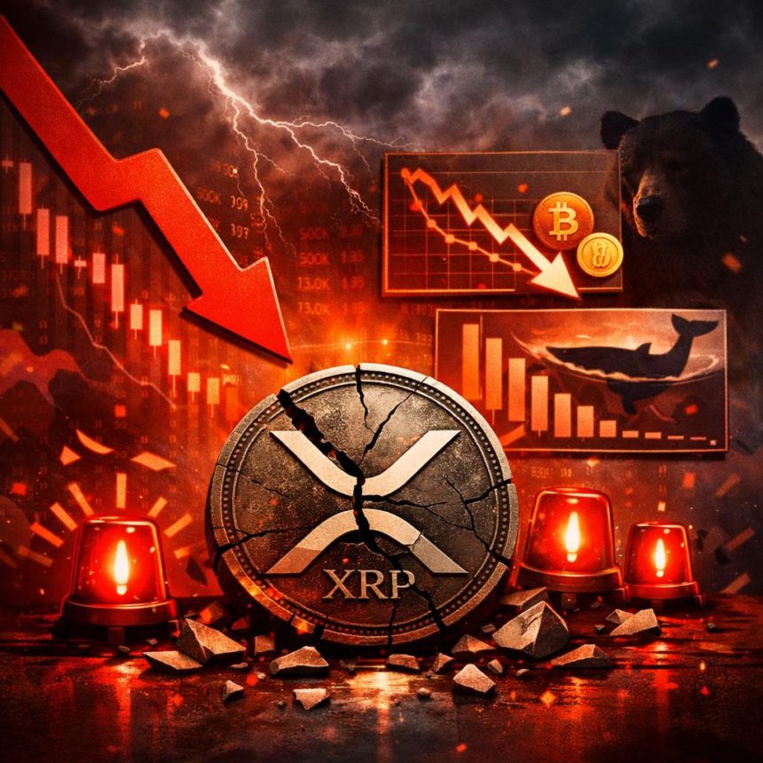 Apa yang Salah dengan XRP? Ahli Ungkap Dua Indikator Merah yang Harus Diwaspadai!