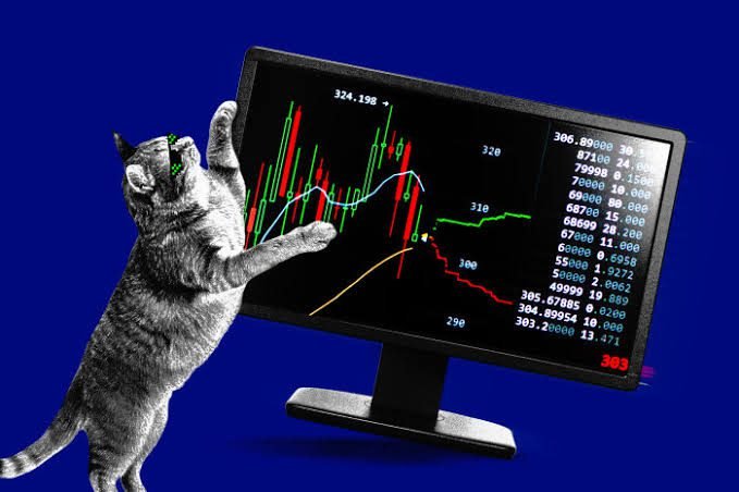 Rebound ETF Saham Meme Arahkan Investor Awal Masih Di Bawah Titik Impas