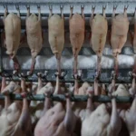 Dari Kaviar ke Foie Gras: Kejutan Ekspor Baru dari China yang Siap Mengguncang Pasar!