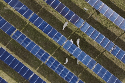 China Ambil Langkah Tegas Atasi Krisis Solar Murah, Aturan Baru Guncang Pabrik Tak Efisien dan Ubah Industri PV Global Selamanya