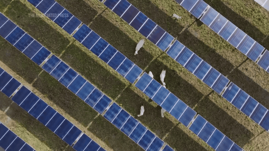 China Ambil Langkah Tegas Atasi Krisis Solar Murah, Aturan Baru Guncang Pabrik Tak Efisien dan Ubah Industri PV Global Selamanya