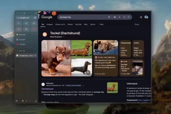 Zen Browser