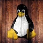 Pengguna Linux Harus Waspada — CISA Identifikasi Tiga Masalah Keamanan Utama yang Harus Segera Diperbaiki
