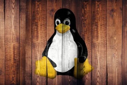 Pengguna Linux Harus Waspada — CISA Identifikasi Tiga Masalah Keamanan Utama yang Harus Segera Diperbaiki