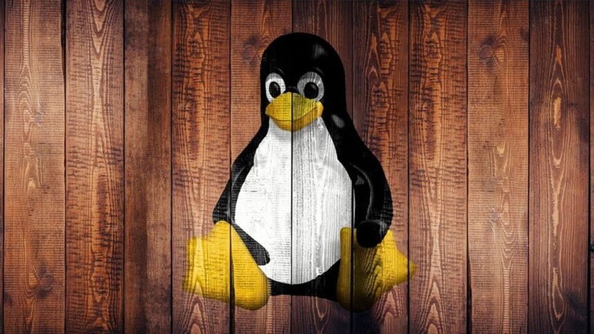 Pengguna Linux Harus Waspada — CISA Identifikasi Tiga Masalah Keamanan Utama yang Harus Segera Diperbaiki
