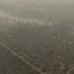 Mengapa Kabut Asap Begitu Parah di Asia Tenggara Tahun Ini?