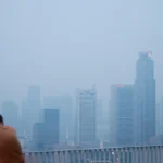 Perusahaan Perkebunan yang Terdaftar di SGX Tanggapi Kabut Asap dengan Kebijakan Tanpa Pembakaran