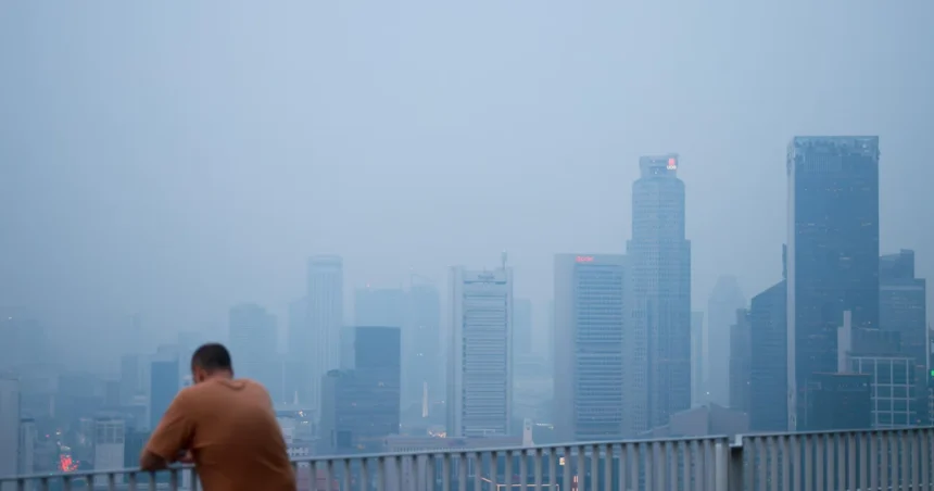 Perusahaan Perkebunan yang Terdaftar di SGX Tanggapi Kabut Asap dengan Kebijakan Tanpa Pembakaran