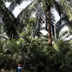 Anggaran Malaysia 2027: Siapa yang Raih Untung di Pasar Saham, dan Siapa yang Tertinggal?