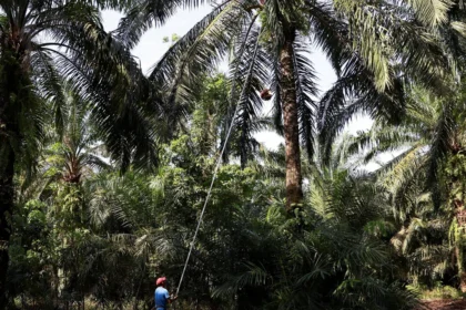 Anggaran Malaysia 2027: Siapa yang Raih Untung di Pasar Saham, dan Siapa yang Tertinggal?