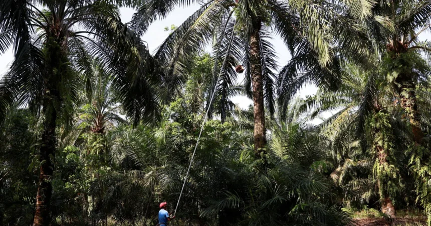 Anggaran Malaysia 2027: Siapa yang Raih Untung di Pasar Saham, dan Siapa yang Tertinggal?