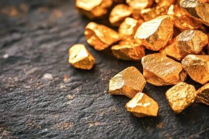 Bank Norwegia Waspada Terhadap Penipuan ‘Emas Tersembunyi’ yang Menggoda di Hutan