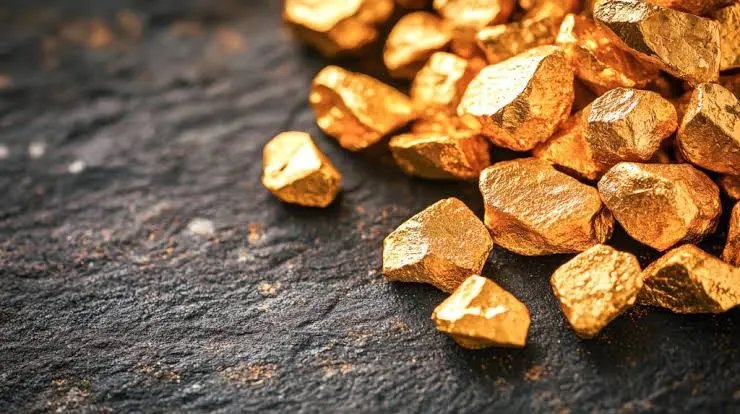 Bank Norwegia Waspada Terhadap Penipuan ‘Emas Tersembunyi’ yang Menggoda di Hutan